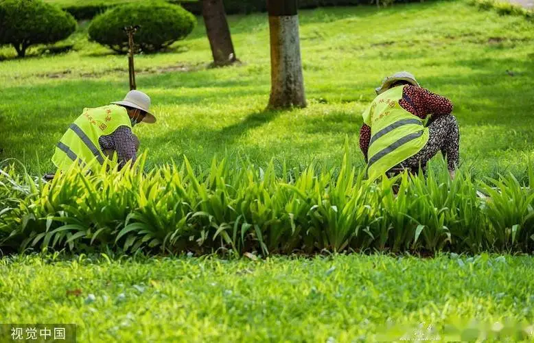 米乐m6官网登录入口：网球拍硅胶管避震器尺寸
