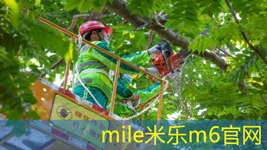 米乐m6官网登录入口：网球拍线脱了怎么办