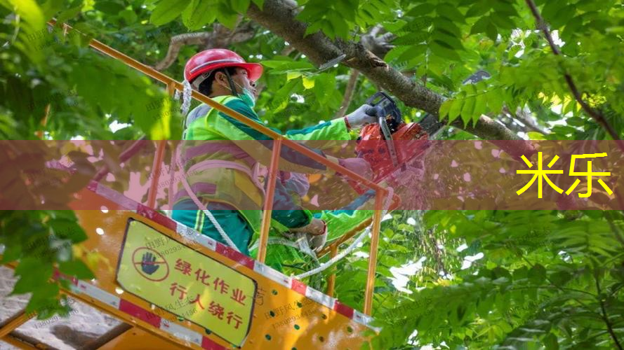 健身室内黑科技器材有哪些