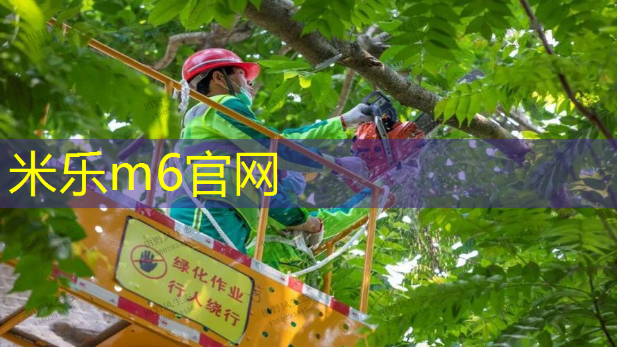 mile米乐m6官网：室内健身的体式是什么样的
