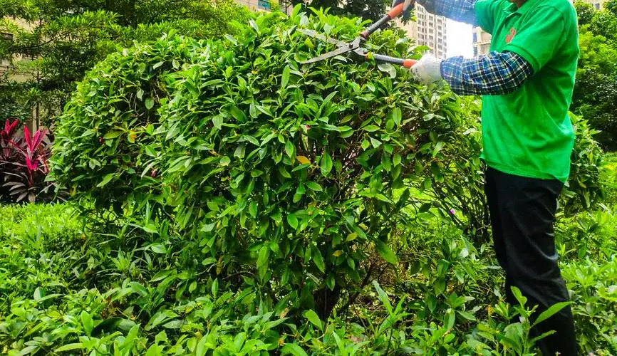 英国网球拍包邮吗现在