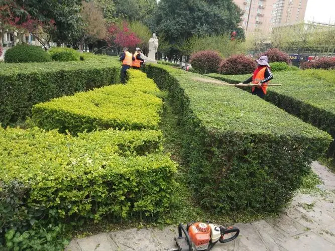 网球拍教具投资怎么样