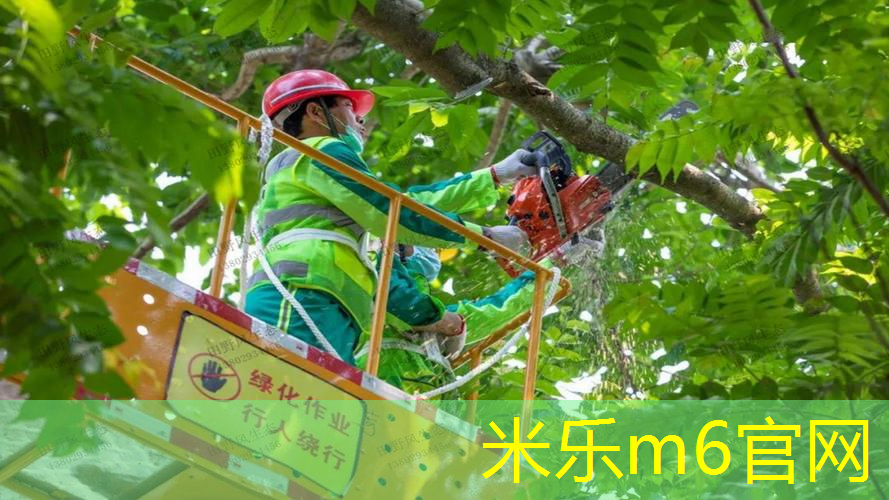 网球拍1号手柄和2