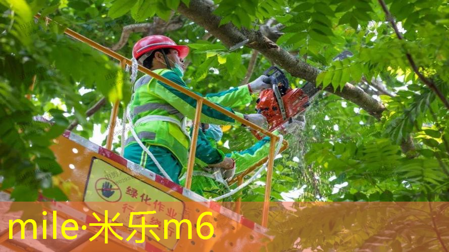 乒乓球台中间一条线有什么用